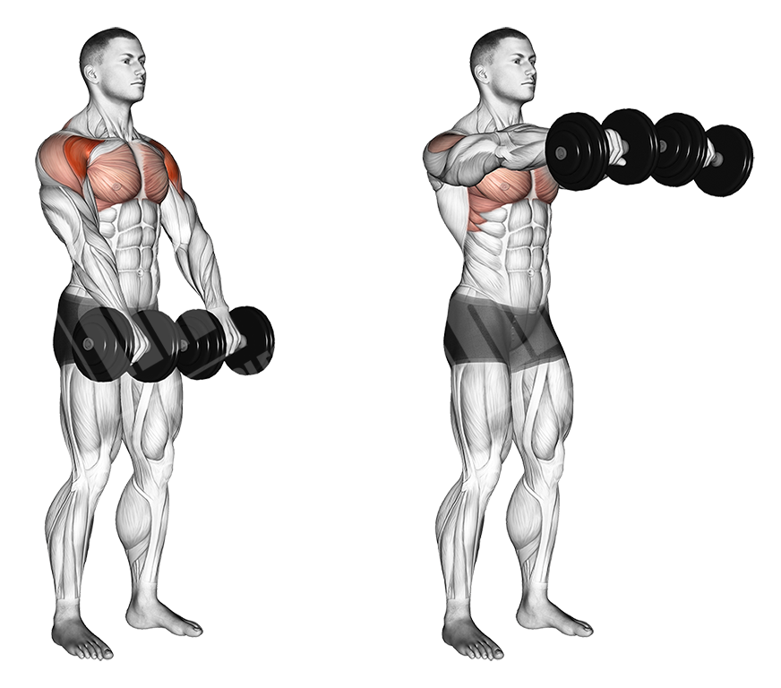 shoulder-dumbbell-workout-meanmuscles