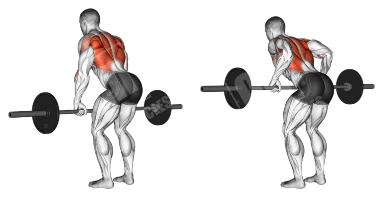 Barbell Upper Body Workout Meanmuscles 