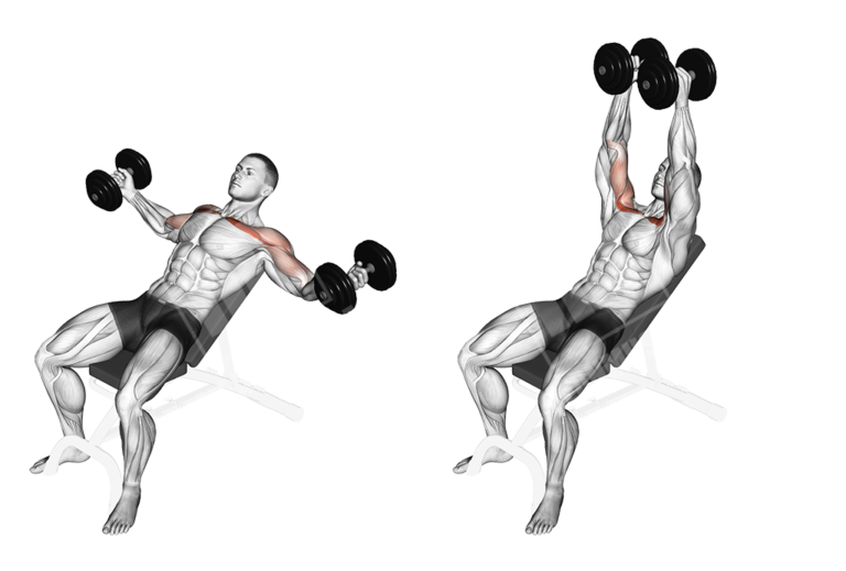 Chest Dumbbell Workout - Meanmuscles