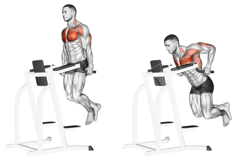 Best Chest Workout - Meanmuscles