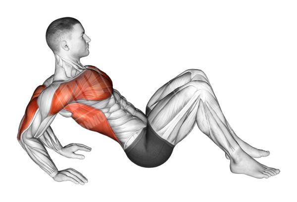 ARM STRETCHES - Meanmuscles