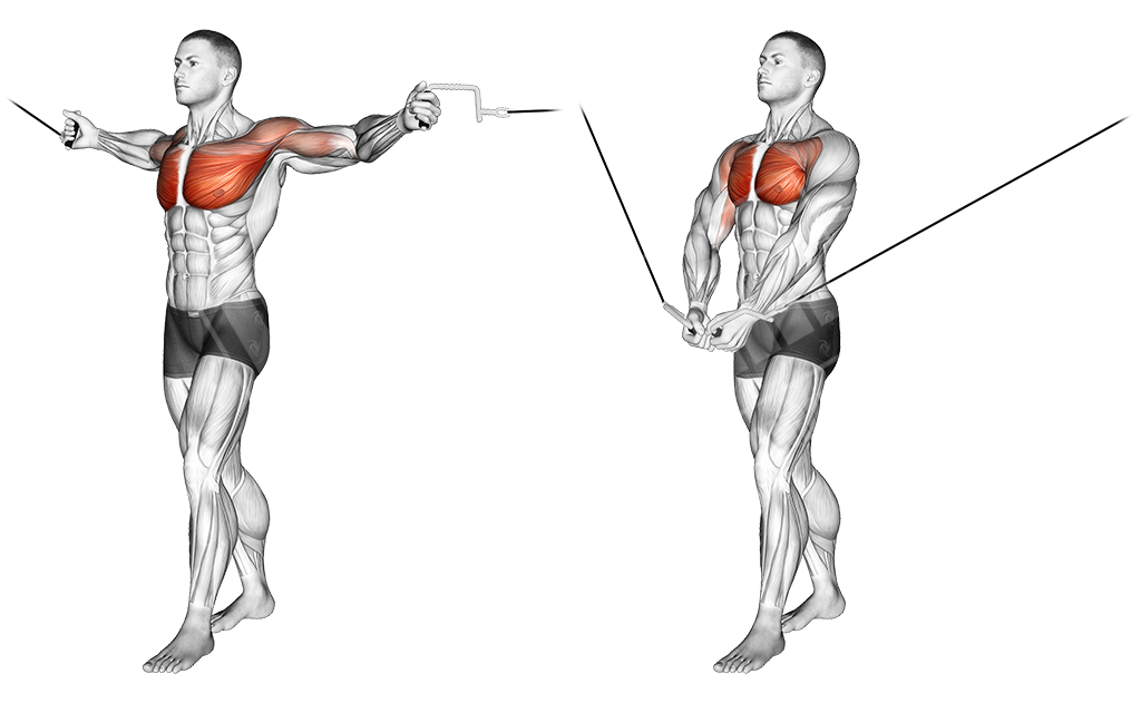 Best Chest Workout - Meanmuscles