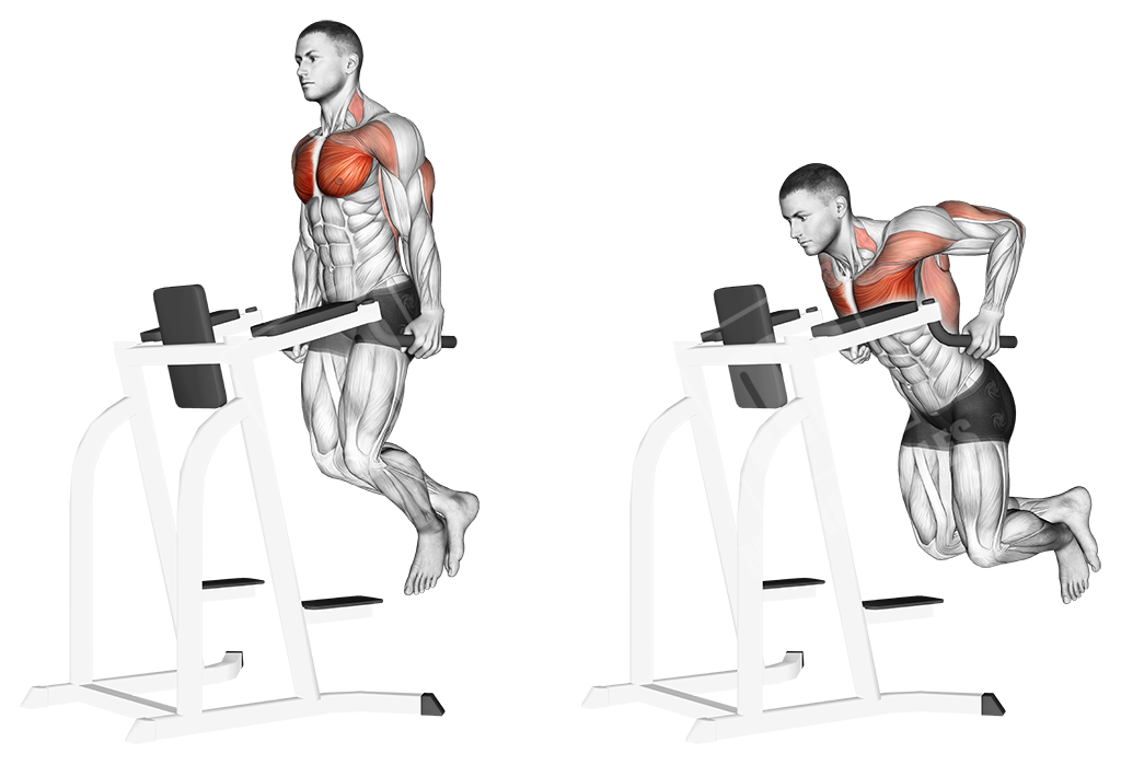 Best Chest Workout - Meanmuscles